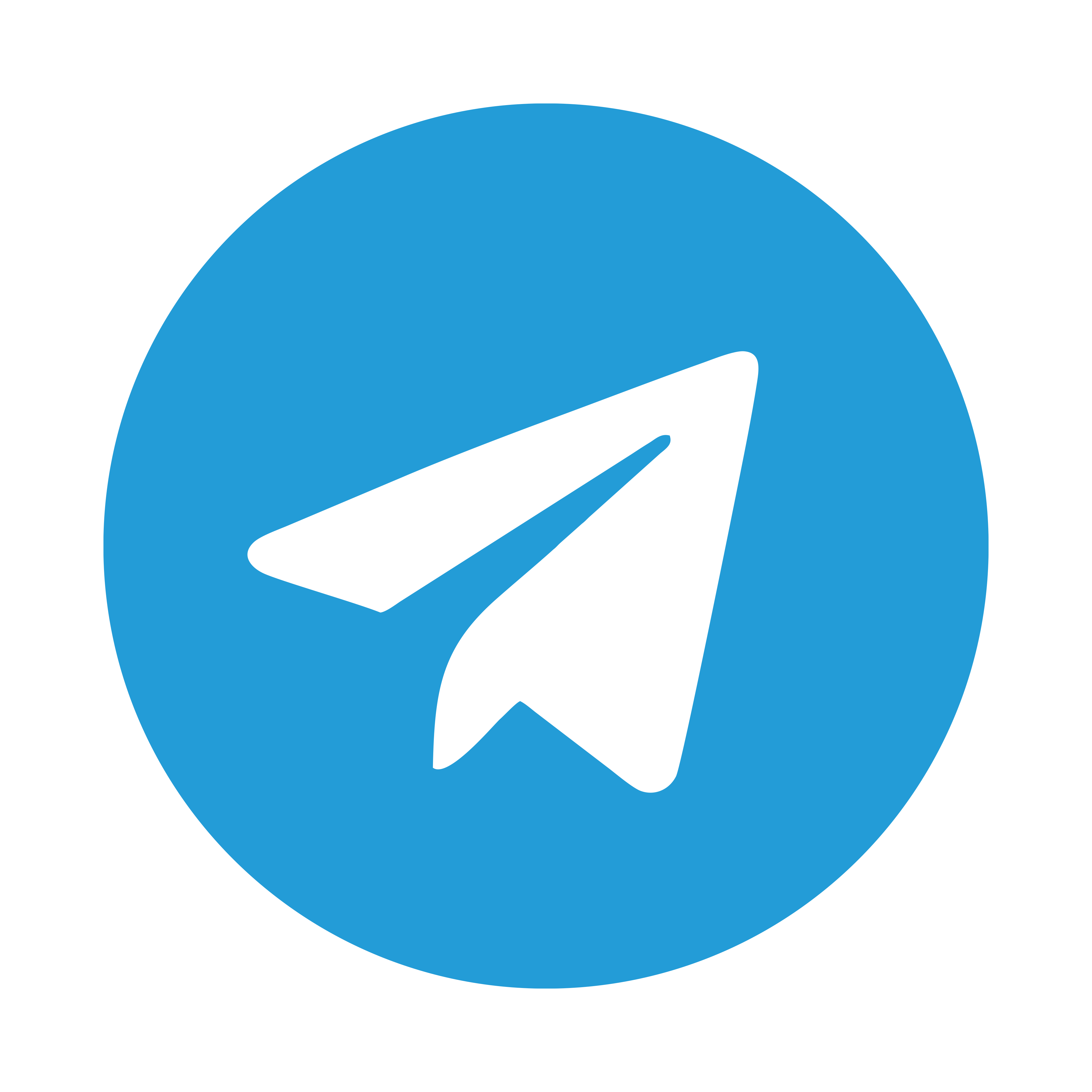 Telegram Icon